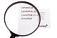 74047_levenhuk-magnifier-zeno-handy-zh7_29.jpg