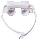 levenhuk-magnifying-glasses-zeno-vizor-g6_03.jpg